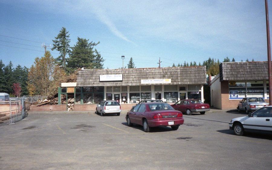 Lambs Thriftway 1995, original strip mall - tear down of Big Tomato Pizza, book store, beauty salon
