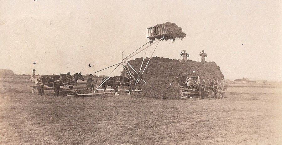 Shattuck Dairy - hay derrick in field