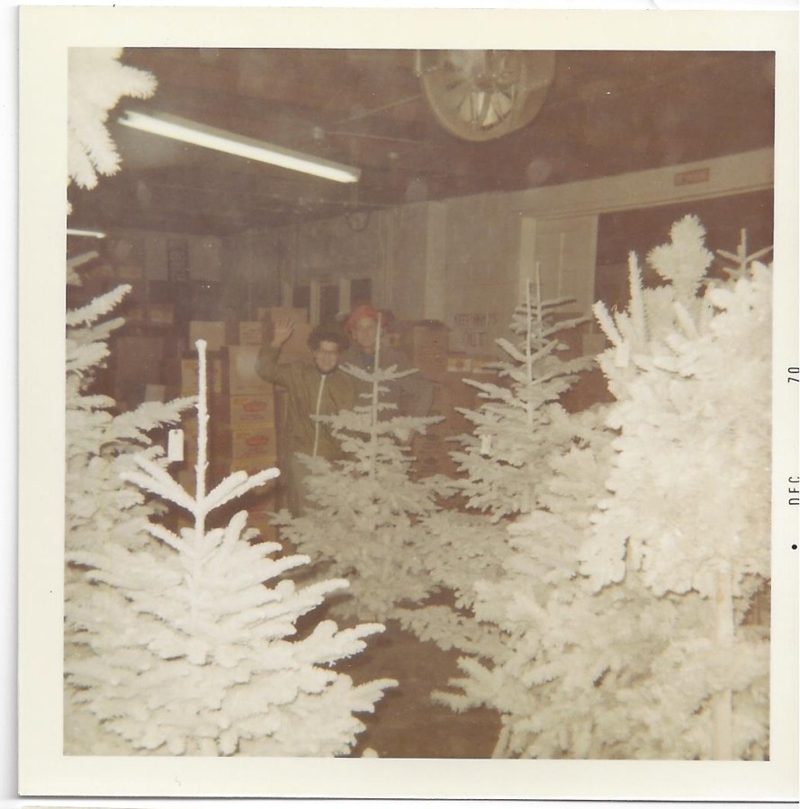 Whitney's Cannery - Flocked Christmas trees - Mark and Leona Whitney 1970