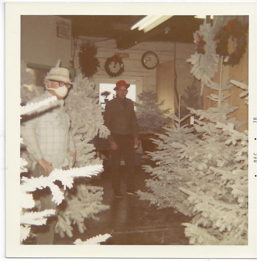 Whitney's Cannery - Flocked Christmas trees - Mask worn due to flocking dust, Mark Whitney in red hat