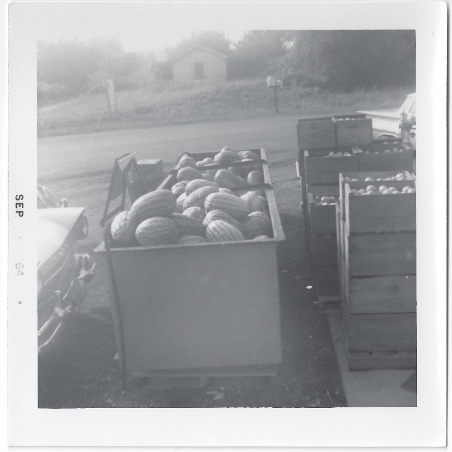 Whitney's Cannery - Fresh produce 1964