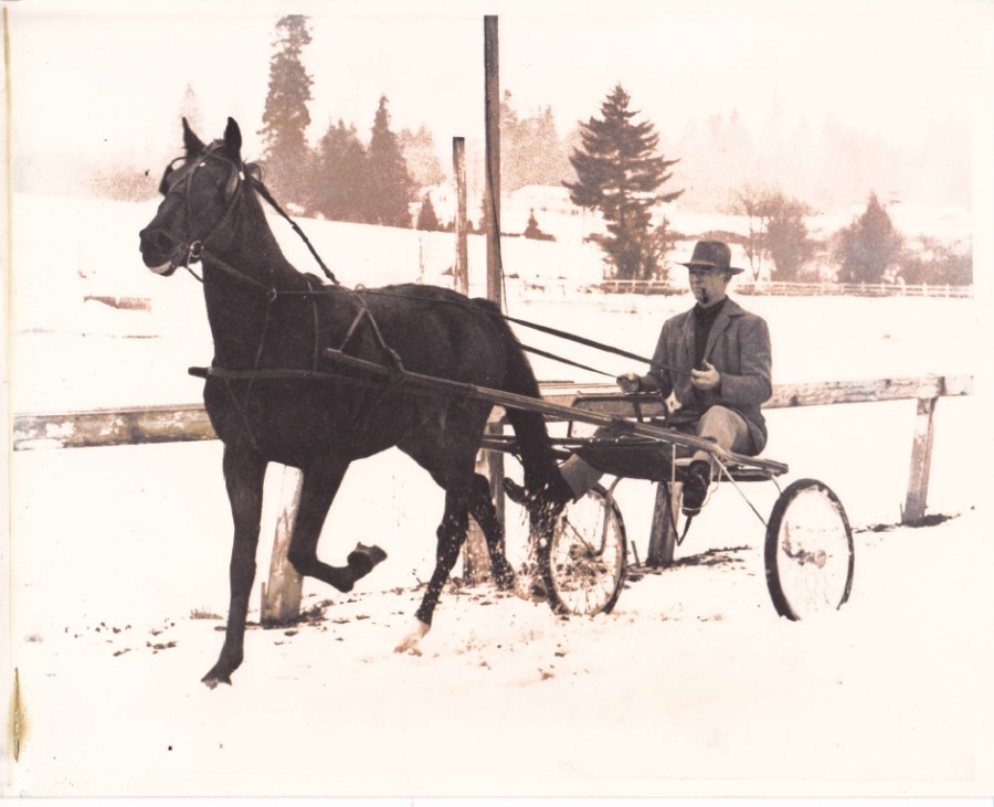 Paul Easton with trotter horse Miss Dean at the Portland Hunt Club