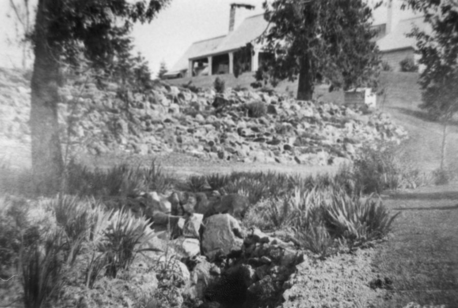 Aaron Frank home, hillside