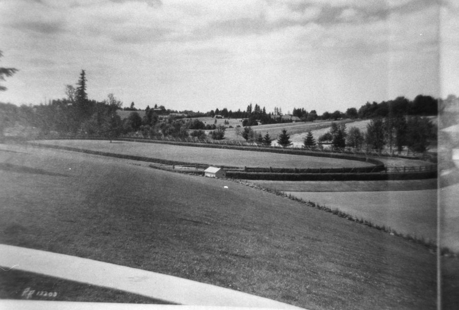 Rolling land around Frank track
