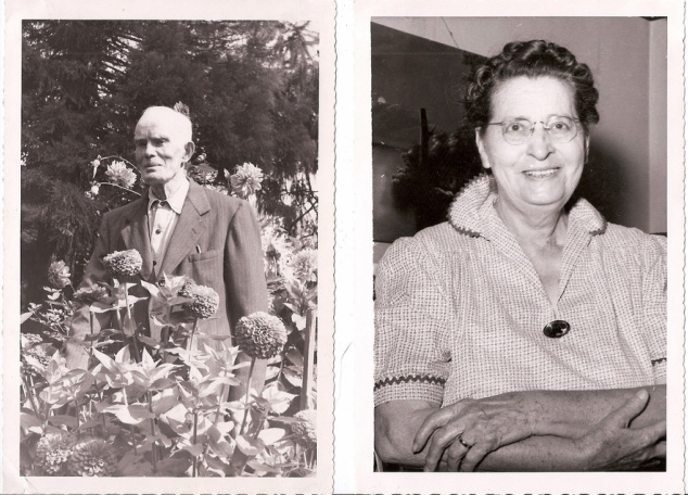 50th Wedding Anniversary John Alden and Elise Berthe Schalk Oleson