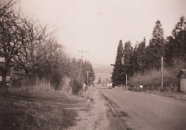 Oleson Rd, looking north
