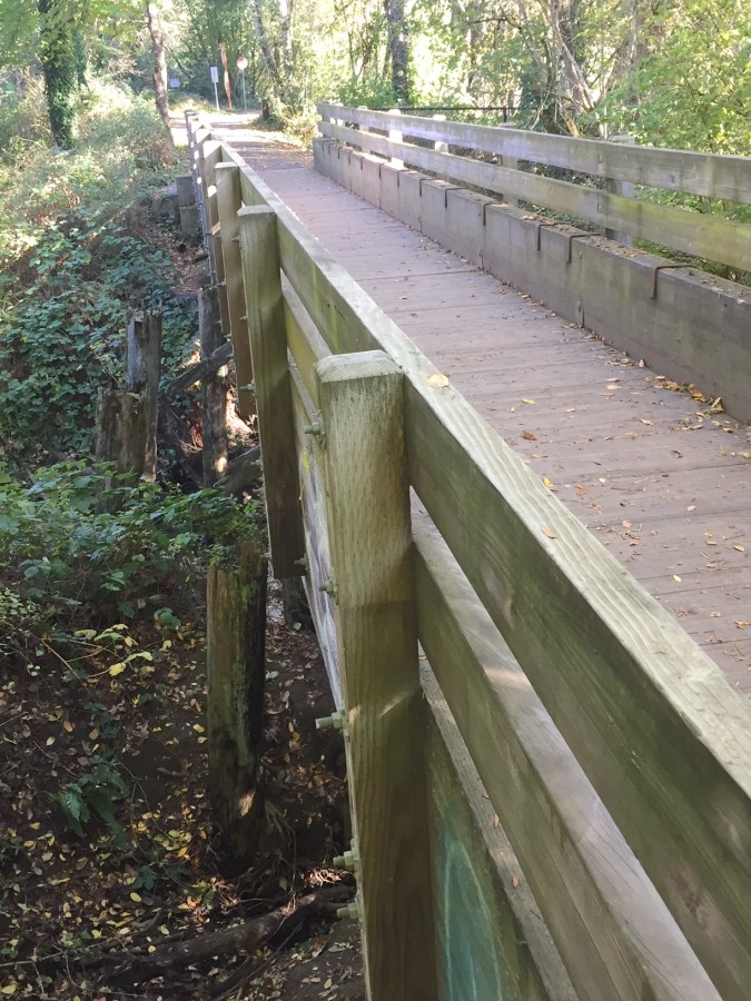Original train bridge supports over Fanno Creek 1