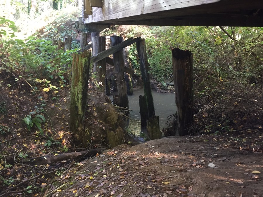 Original train bridge supports over Fanno Creek 2