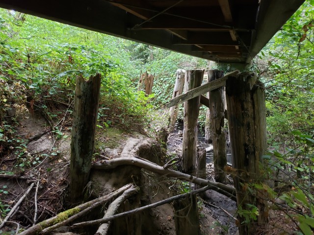 Original train bridge supports over Fanno Creek 2019 by Kevin Mistler