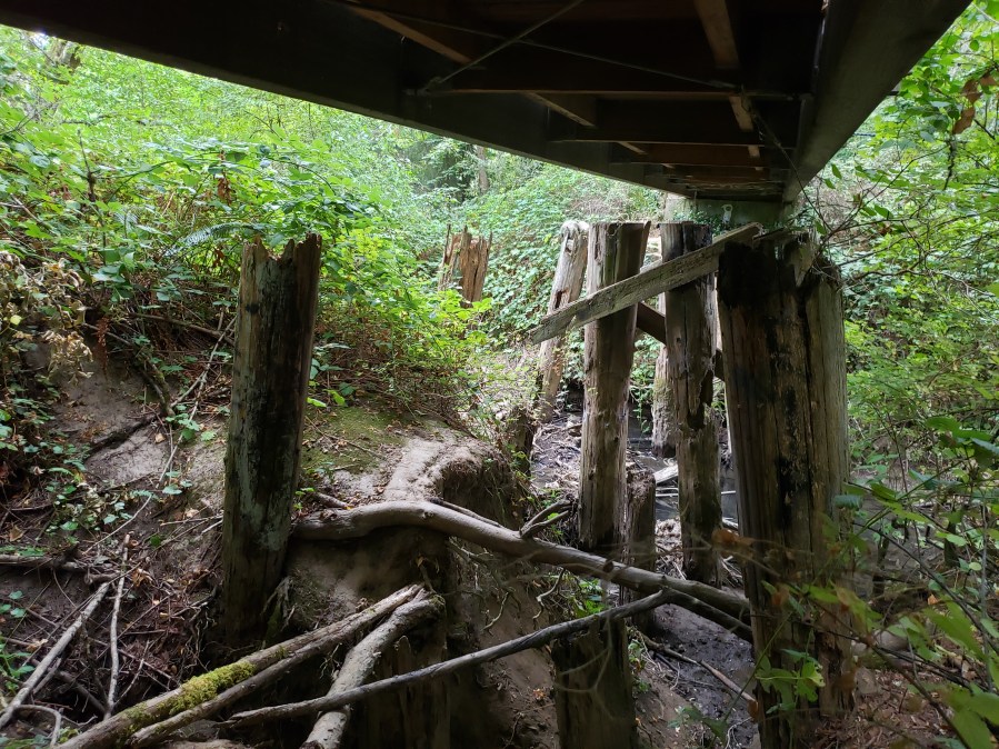 Original train bridge supports over Fanno Creek 2019 by Kevin Mistler