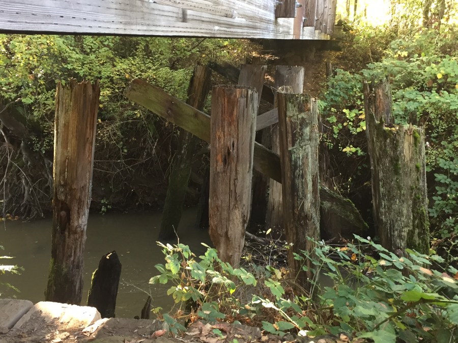 Original train bridge supports over Fanno Creek 4