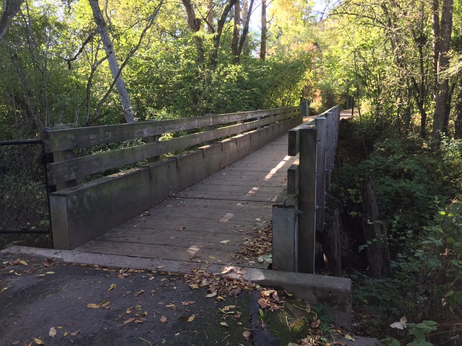 Original train bridge supports over Fanno Creek 6