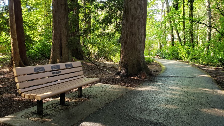 Peter Herman memorial bench - on Fanno Creek Trail