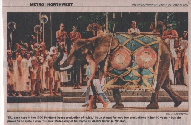 Tiki the Elephant (courtesy The Oregonian)