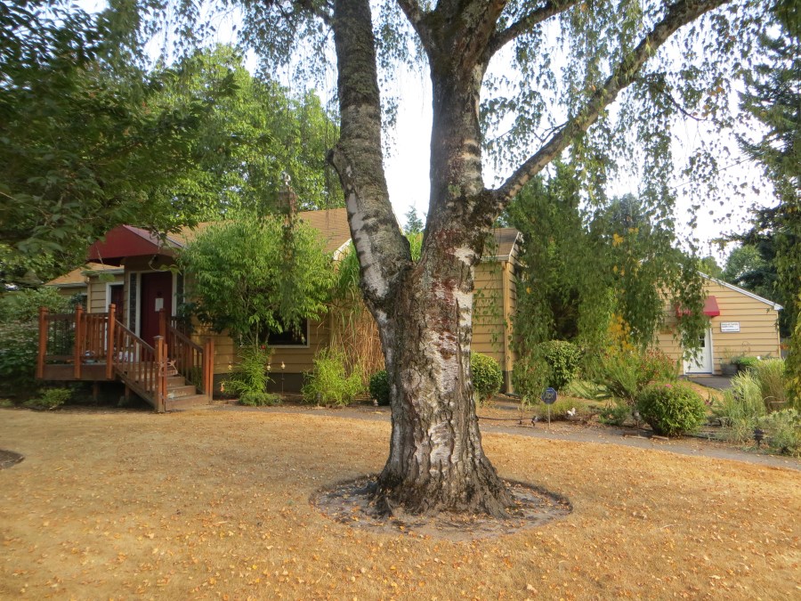 7770 SW Oleson Rd - former Krom residence