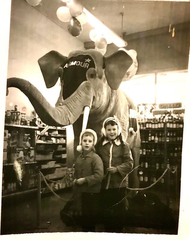 Stuffed elephant in Lambs Thriftway - Robin Ariss