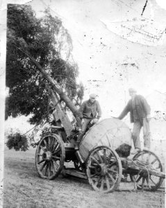 Moving a Tree - Portland Golf Club