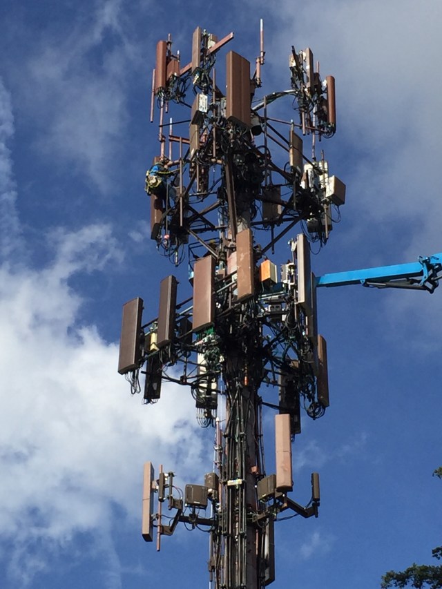 Rec Center cell tower - worker up high