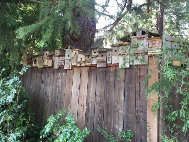 Bird Condos, corner of SW 61st and Garden Home Rd