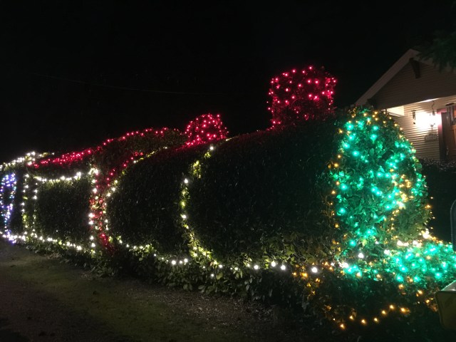 Train hedge on SW Alden St