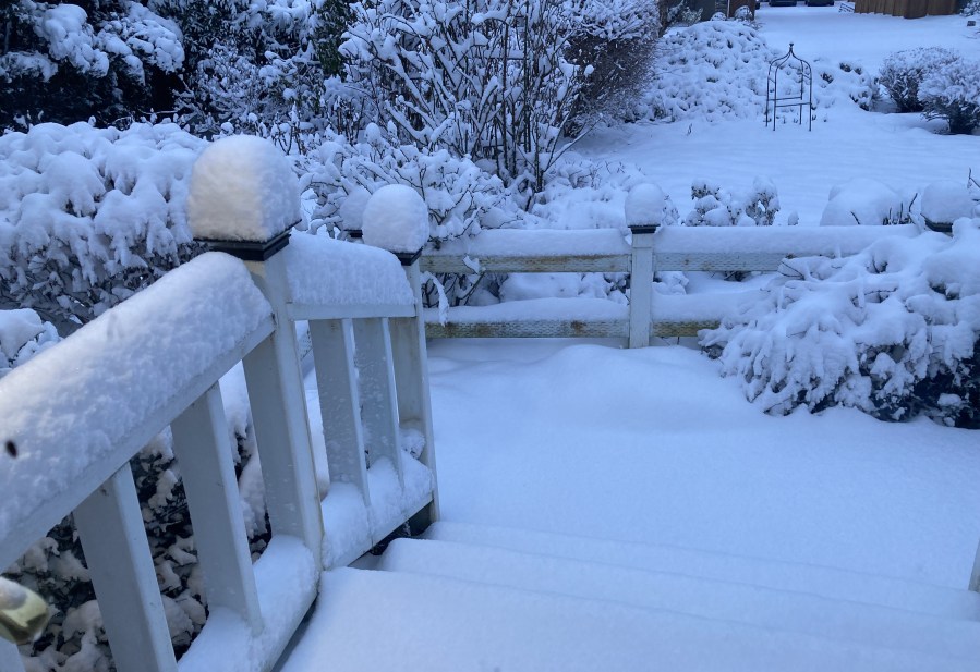 February 2023 record snow fall