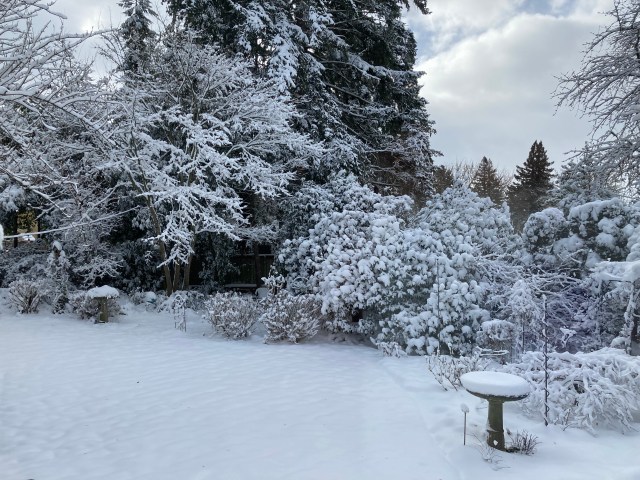 February 2023 snow fall