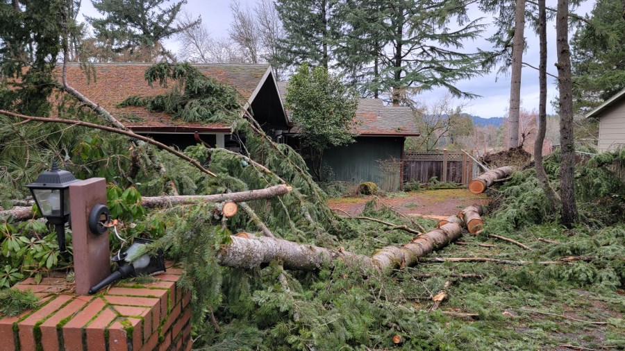 Big Freeze of 2024 - 1