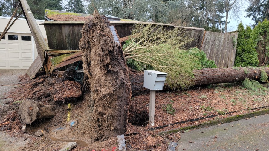 Big Freeze of 2024 - 2