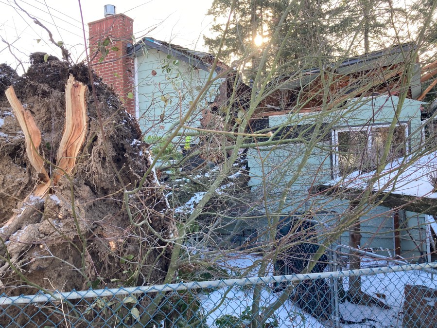 Big Freeze of 2024 - 6